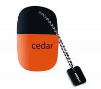 فلش مموری لوتوس مدل Cedar ظرفیت 64 گیگابایت
