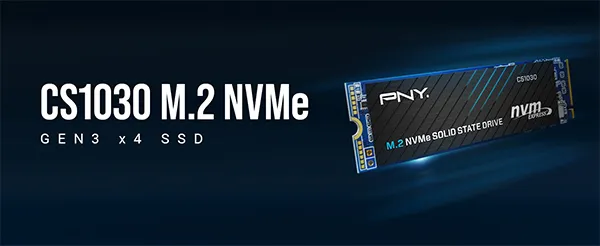 اس اس دی اینترنال پی ان وای مدل CS1030 M.2 NVMe ظرفیت 256 گیگابایت