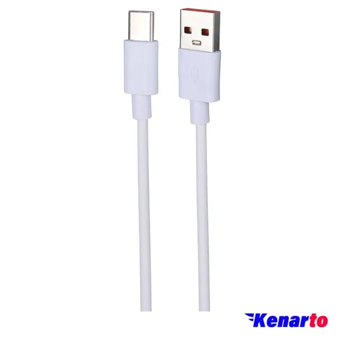 کابل تبدیل  USB به Type-C الدینیو مدل 6A طول 1 متر